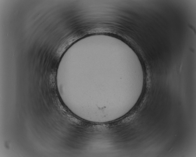 X0000103300937200809261310
