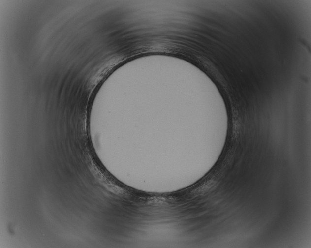 X0000103300938200809261310