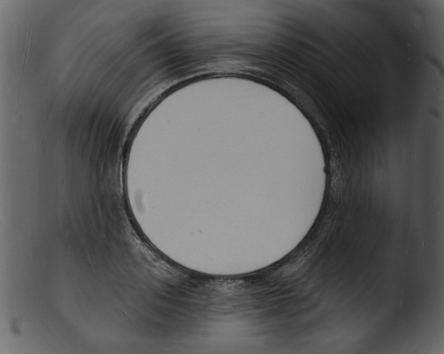 X0000103300939200809261310