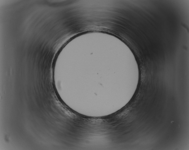 X0000103300940200809261310