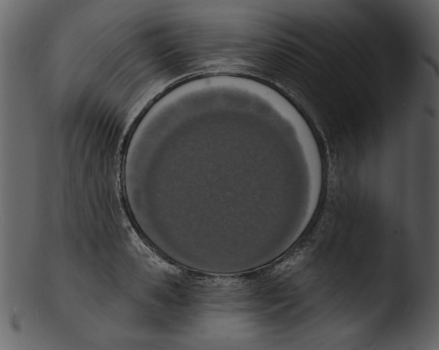 X0000103300941200809261310