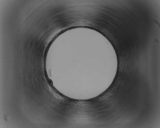 X0000103300942200809261310