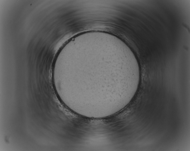 X0000103300944200809261310