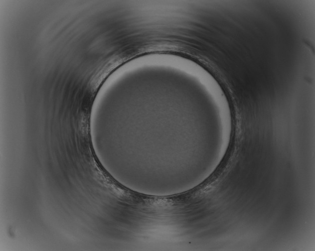 X0000103300945200809261310