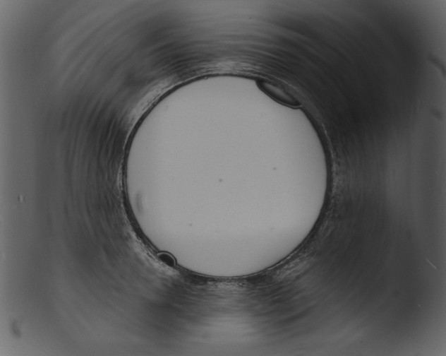 X0000103300946200809261310