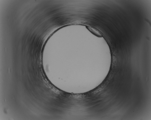 X0000103300948200809261310