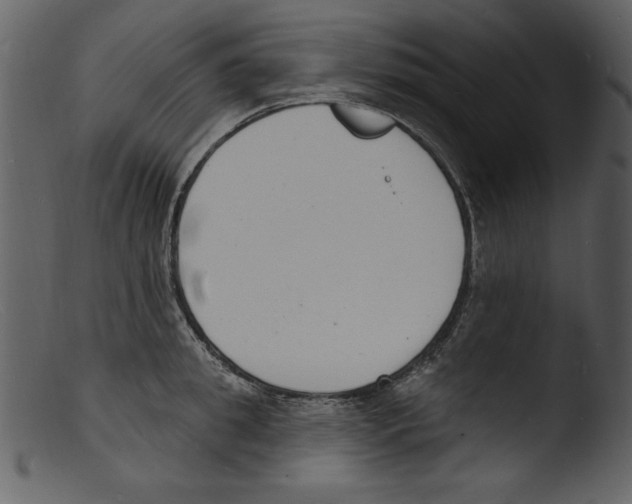 X0000103300949200809261310