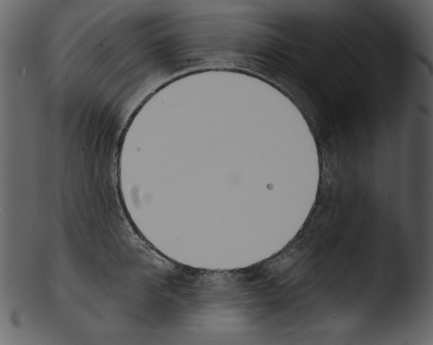 X0000103300950200809261310