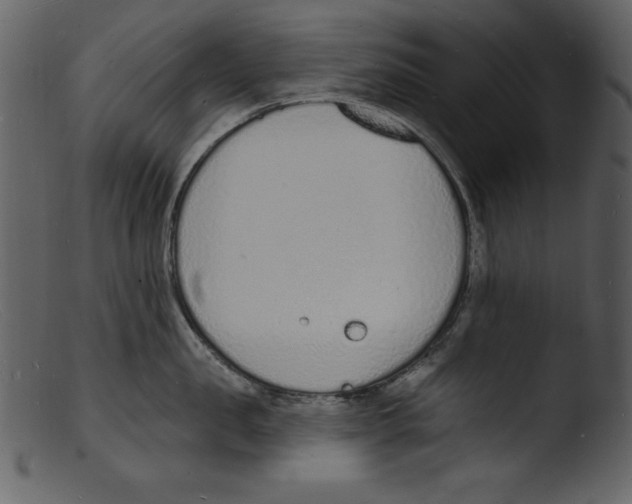 X0000103300957200809261310