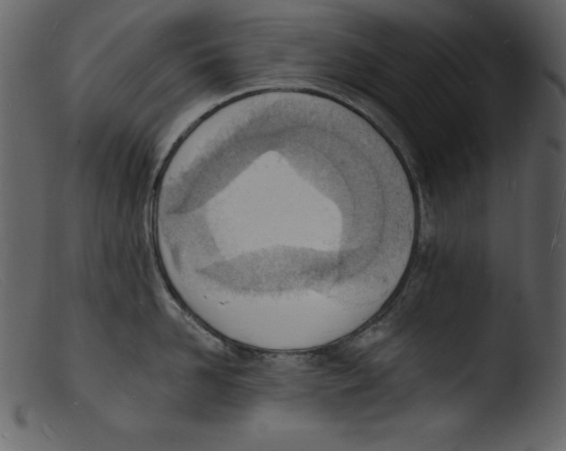 X0000103300958200809261310