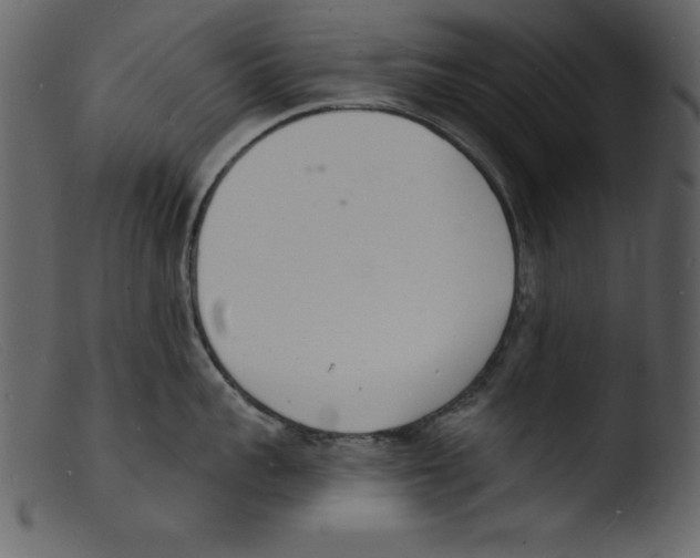 X0000103300959200809261310