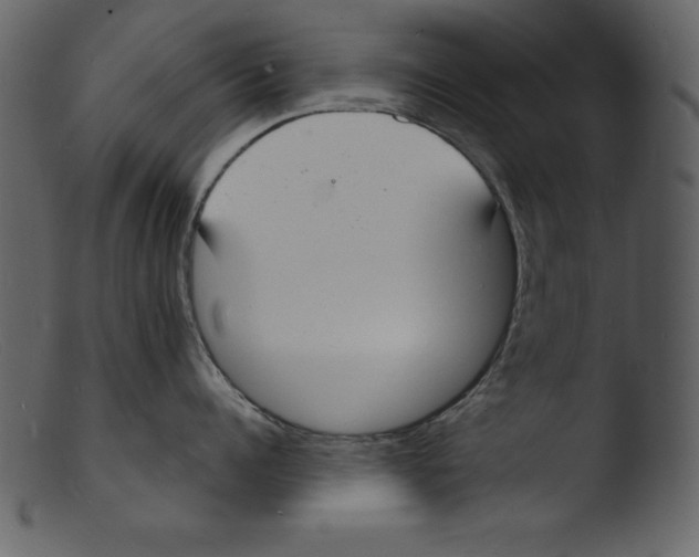 X0000103300960200809261310