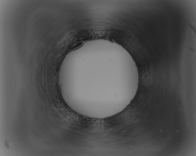 X0000103300961200809261310