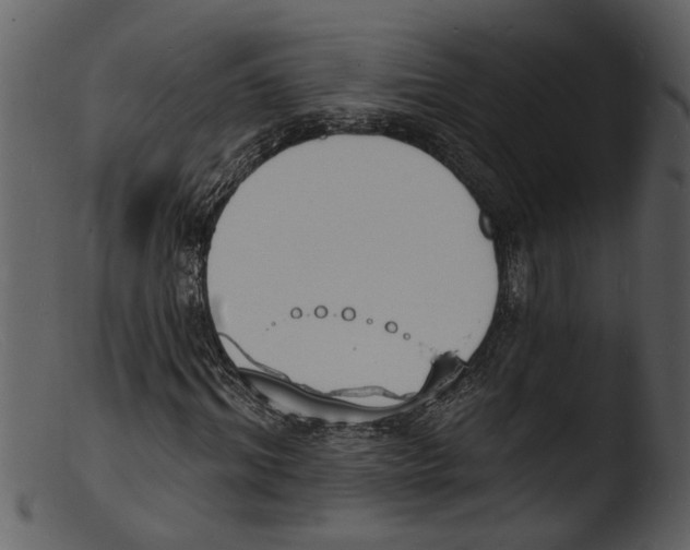 X0000103300964200809261310