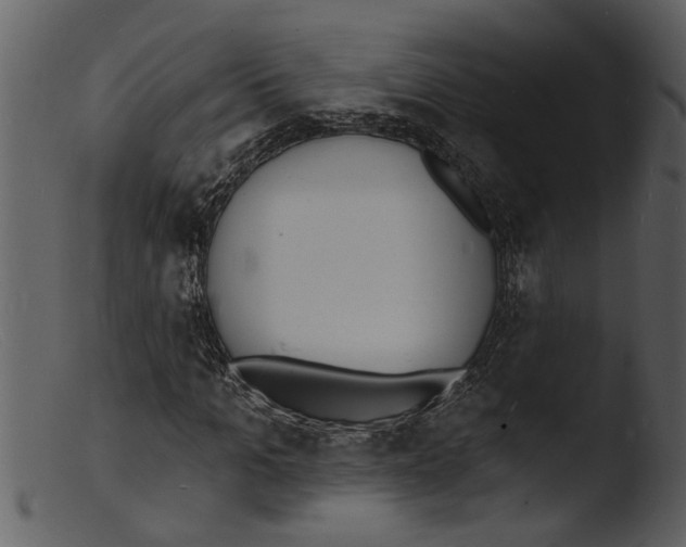 X0000103300965200809261310