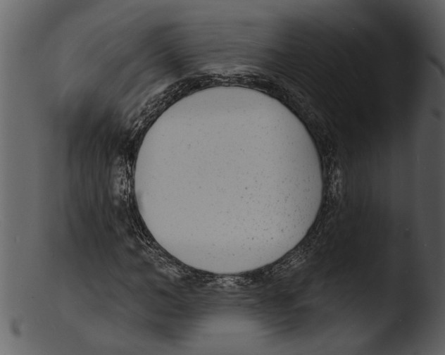X0000103300966200809261310