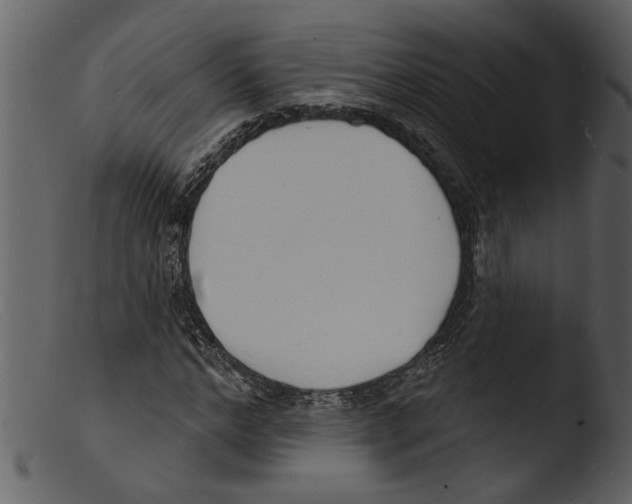X0000103300968200809261310