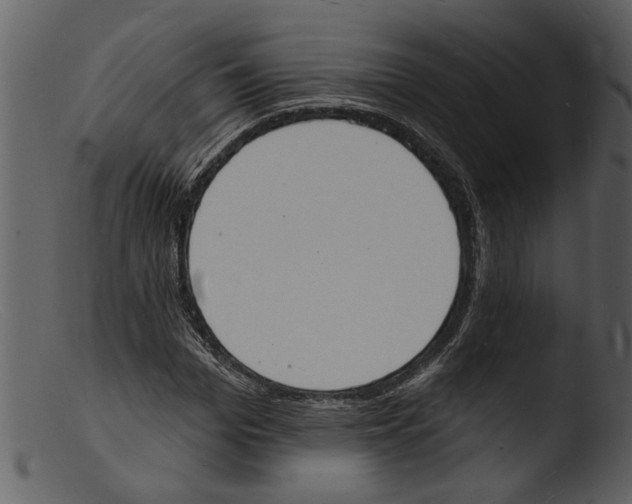 X0000103300969200809261310