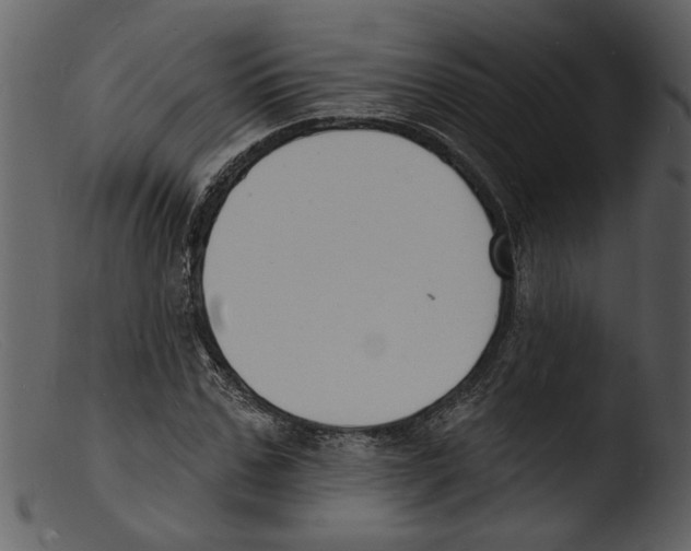 X0000103300971200809261310
