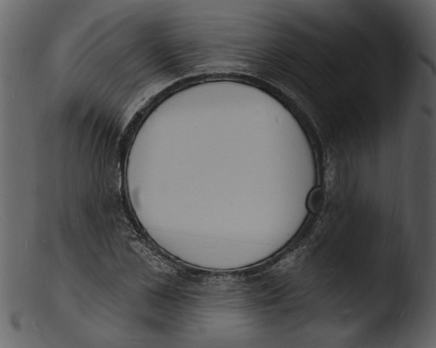 X0000103300973200809261310
