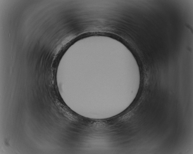 X0000103300974200809261310