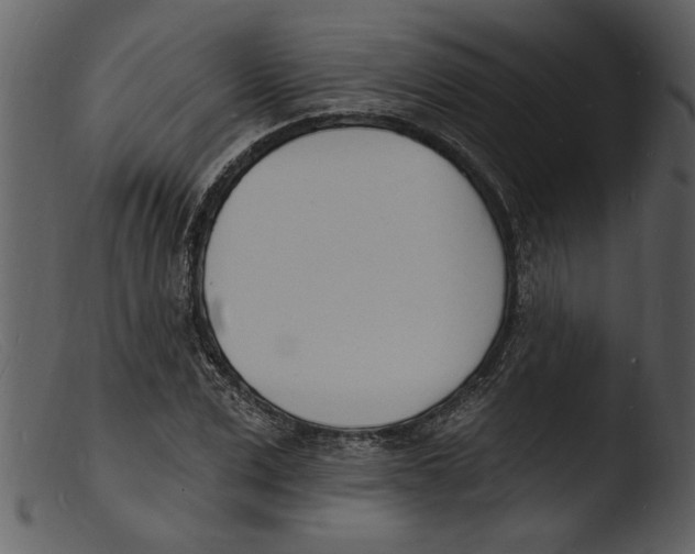 X0000103300975200809261310