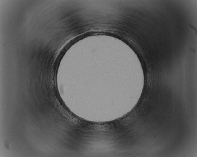 X0000103300976200809261309