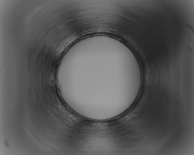 X0000103300977200809261309