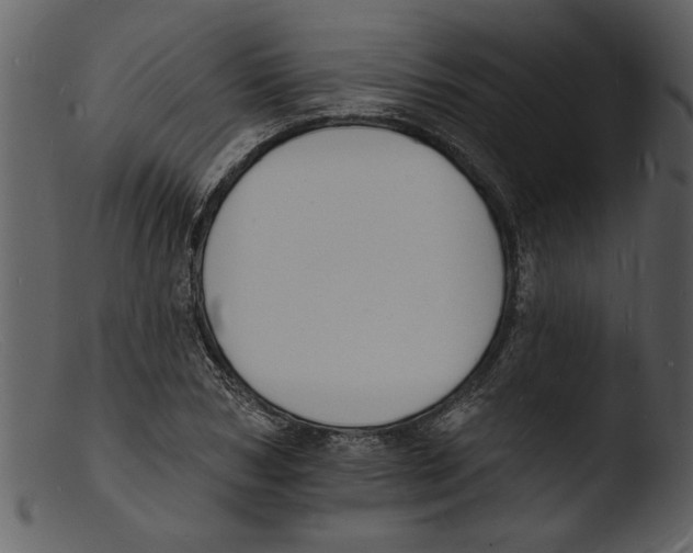 X0000103300978200809261309