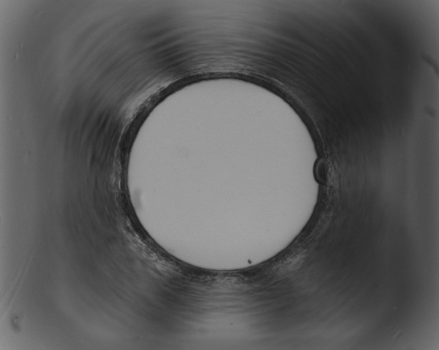X0000103300979200809261309
