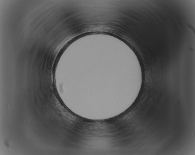 X0000103300980200809261309
