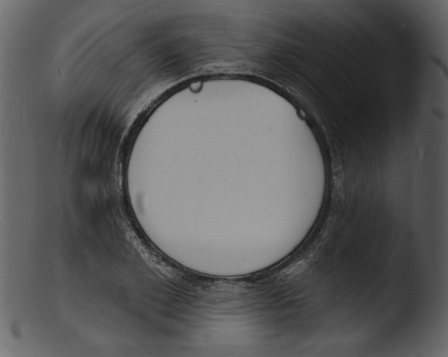 X0000103300981200809261309
