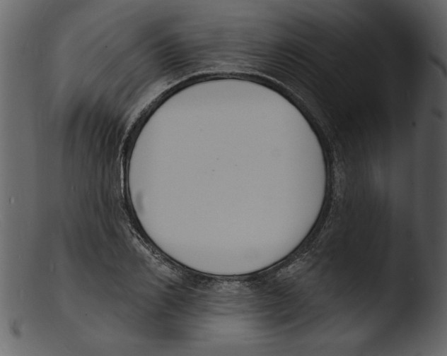X0000103300982200809261309