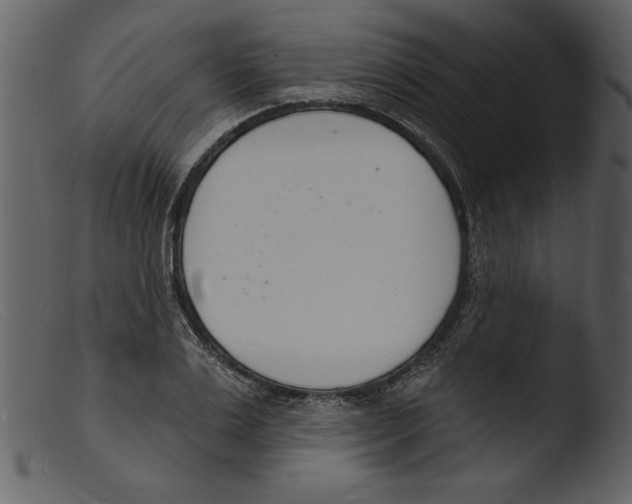 X0000103300983200809261309
