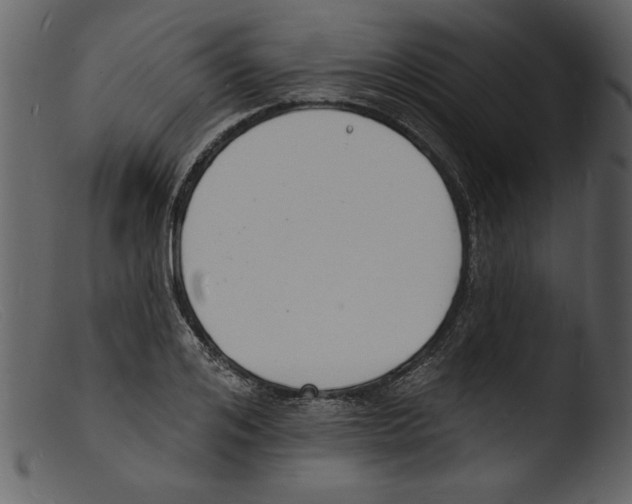 X0000103300984200809261309