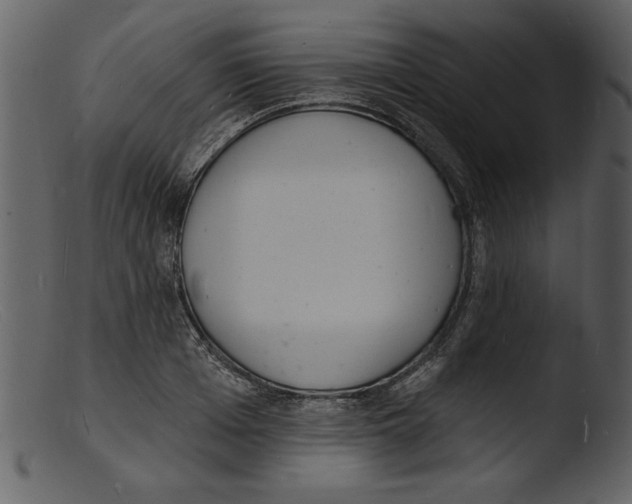 X0000103300985200809261309