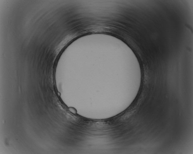 X0000103300986200809261309