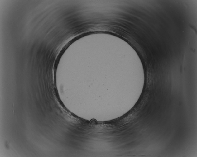 X0000103300988200809261309
