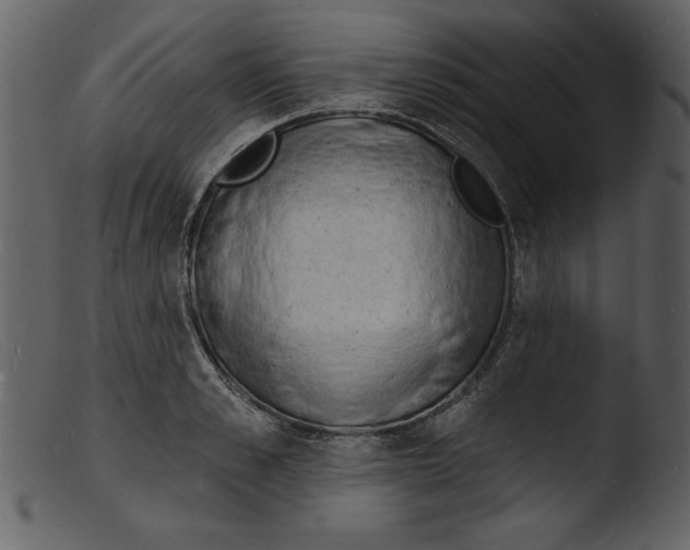 X0000103300989200809261309