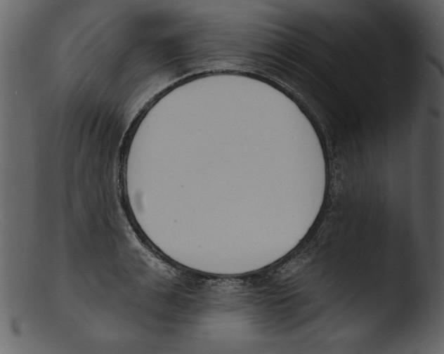 X0000103300991200809261309