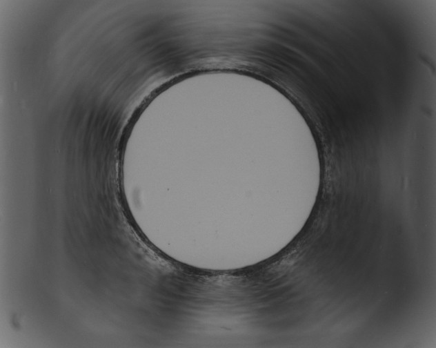 X0000103300992200809261309