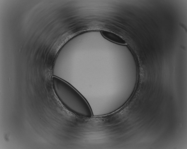 X0000103300993200809261309