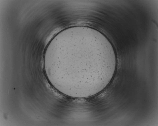 X0000103300994200809261309
