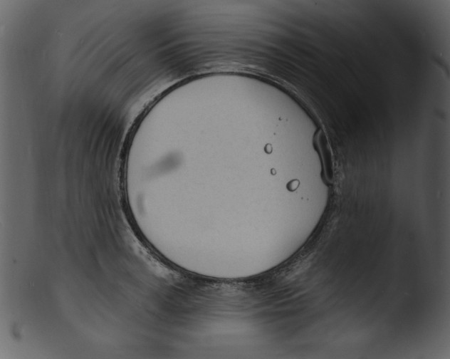X0000103300995200809261309