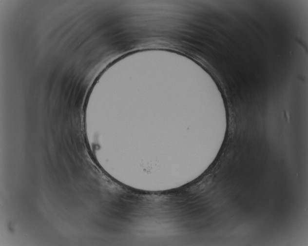 X0000103300996200809261309