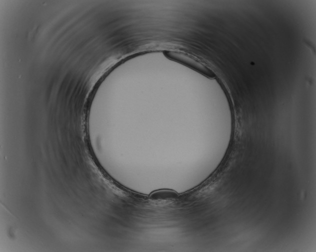 X0000103300997200809261309