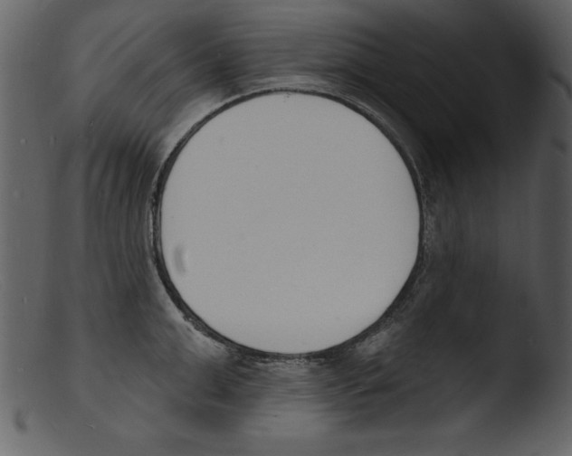 X0000103300999200809261309