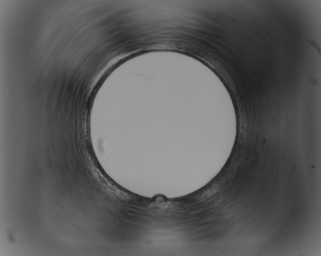 X0000103301000200809261309