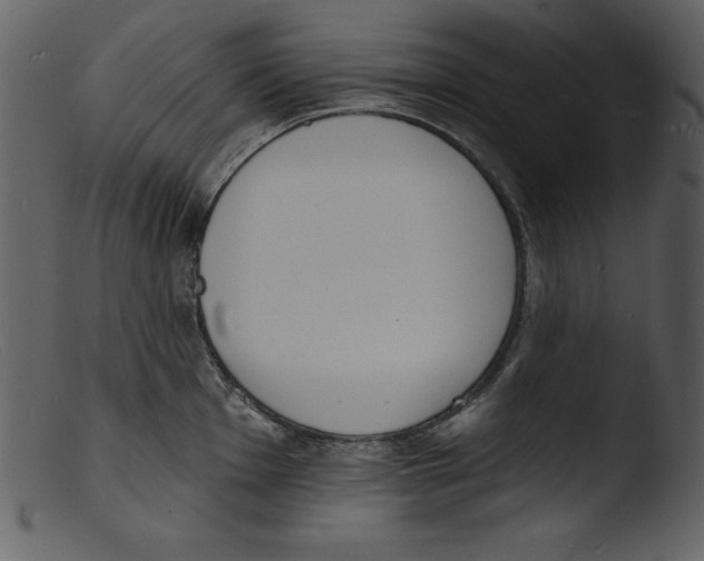 X0000103301001200809261309