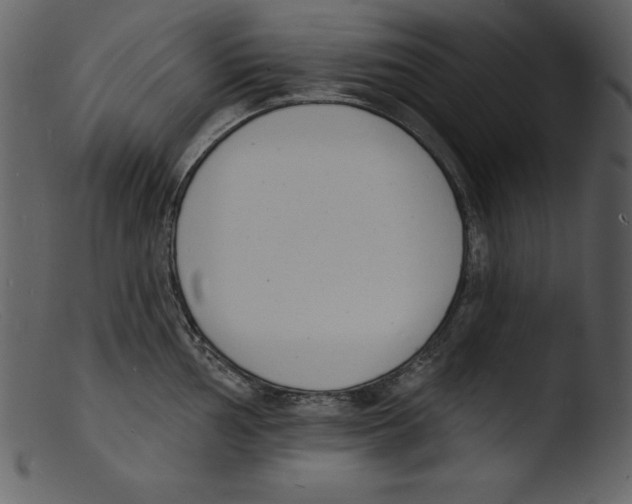 X0000103301002200809261309
